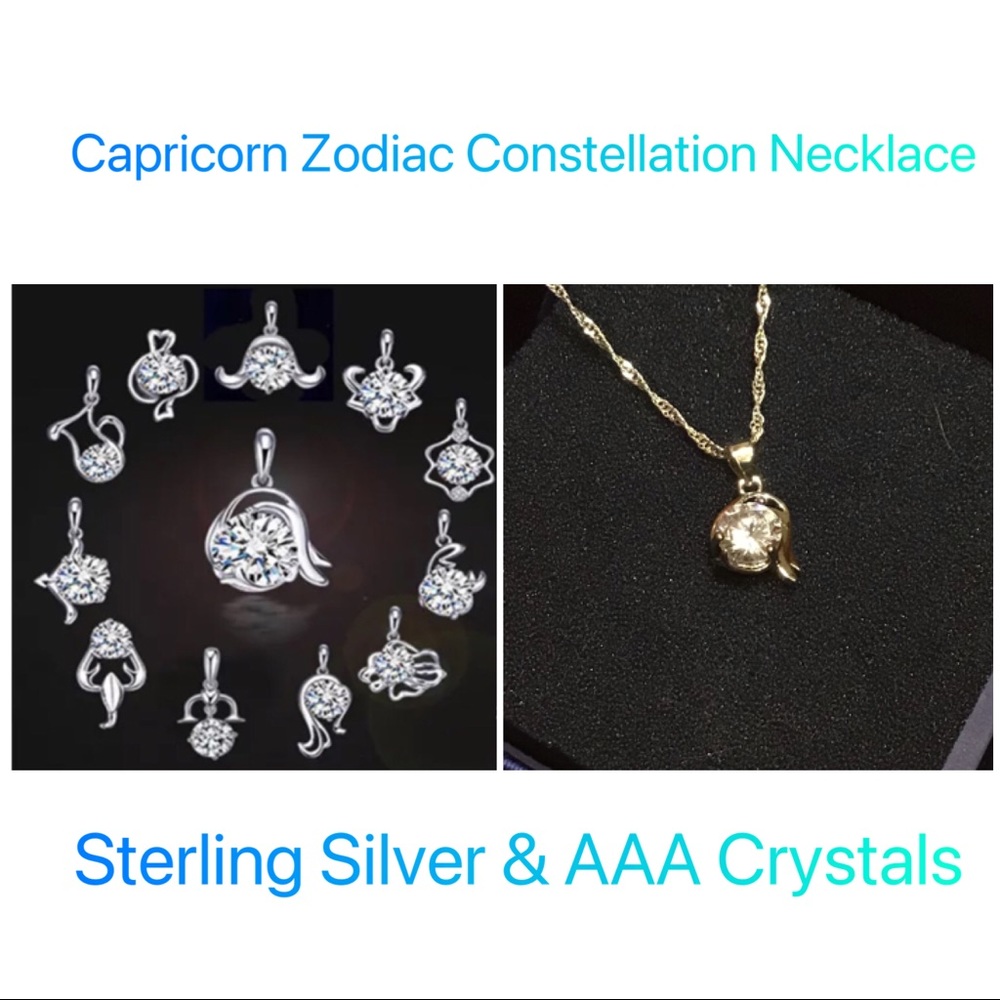 ♑️Capricorn Zodiac Constellation Necklace NEW♑️